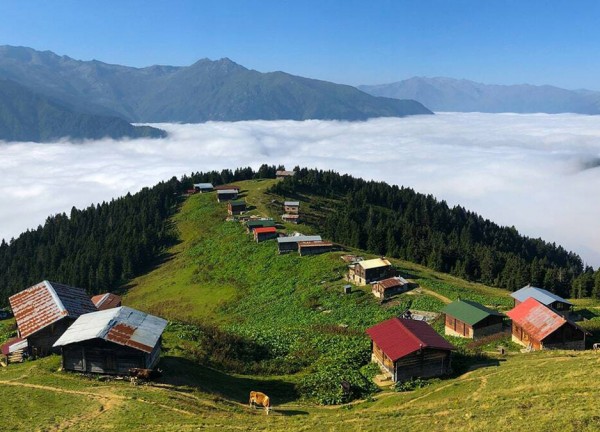 Günübirlik Pokut - Sal Yaylası Turu