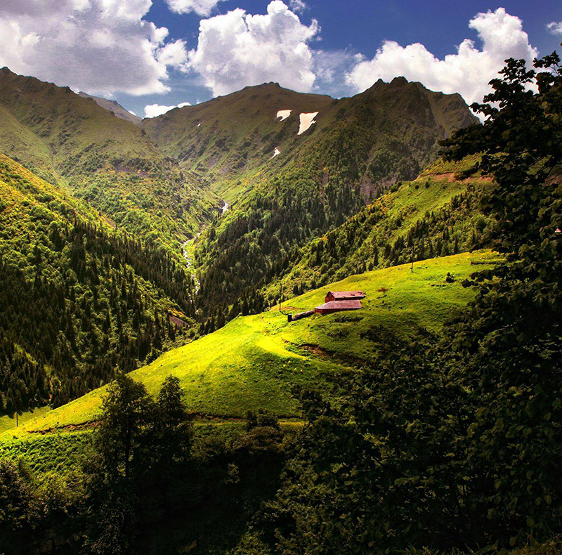 Bize Mesaj Gönderin